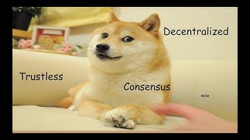 Blockchain: A Pragmatic Introduction by Max Fang