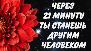 УПРАВЛЕНИЕ ВНИМАНИЕМ | ПРАКТИКА