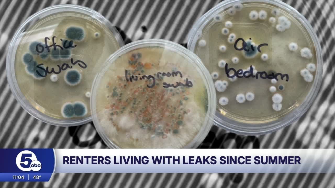 Water leaks at Intro Cleveland forces a couple to move out