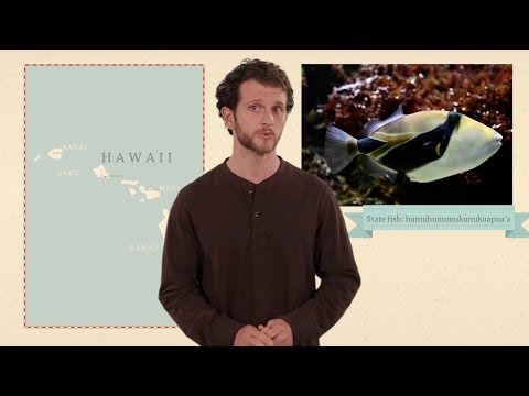Vídeo: Capitólio Estadual do Havaí