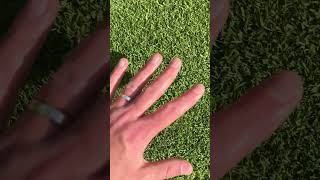 Don’t make this lawn watering mistake! 🌧️☀️ #lawn #lawncare