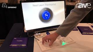 Celebrity rAVe Nexmosphere BrightSign Demo Wealth