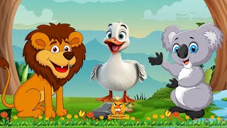 Happy Animal Moments: Koala, Duckling, Peacock, Lion,... | Animal Sounds