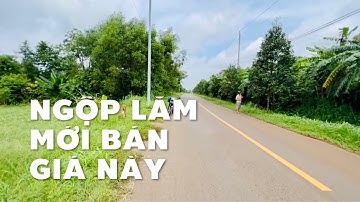 Chủ ngộp bán mặt tiền đường liên xã ở Châu Đức giá siêu hời có thể mua để dành được