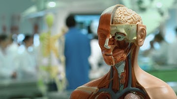 MSc in Human Anatomy   -  introduction