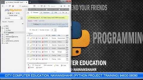 Python Insert Data into MYSql (MariaDB)