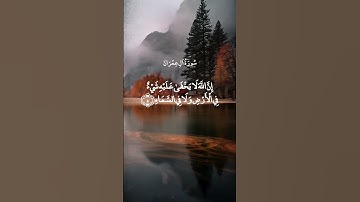 إِنَّ اللَّهَ لَا يَخْفَىٰ عَلَيْهِ شَيْءٌ || سورة آل عمران || ياسر الدوسري