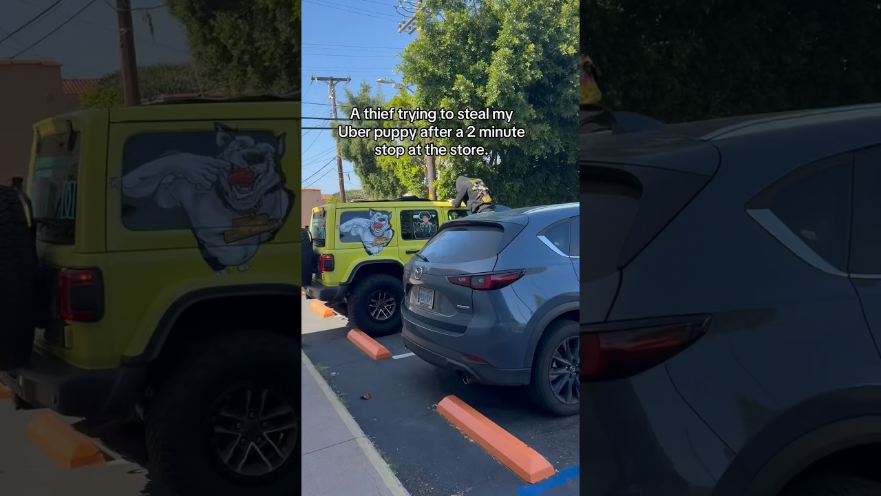 Caught This Guy Trying To Get Into My Car To Steal A Dog