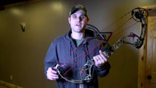 2017 PSE Evolve 31 - Bow Review