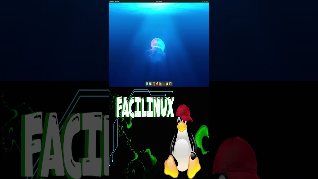 Guía Definitiva: Linux Gaming - Instala y Optimiza para Jugarlo TODO parte 4