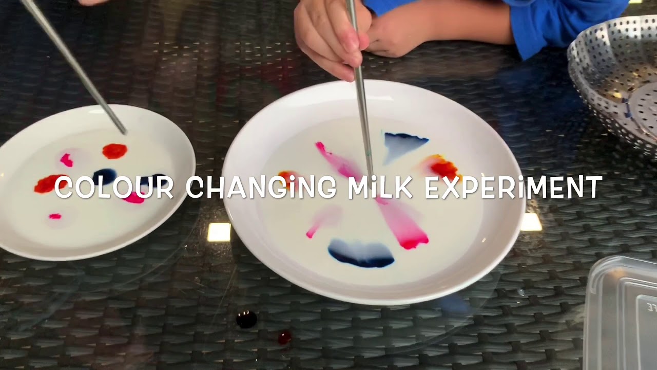 Colour changing milk experiment #ZinCommunity - YouTube