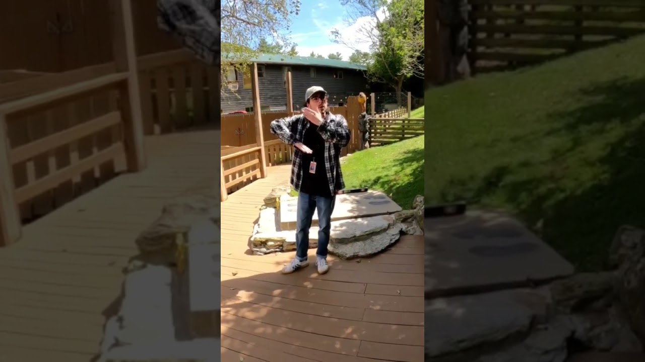 The Unsolved Mystery Behind The Mystery Platform at Mystery Hill, N.C.