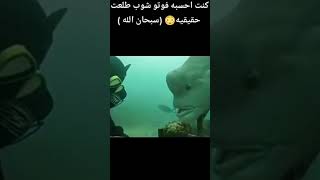 الله خالق كل شيء