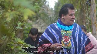 Indigenous-led Psychedelic Science & Environmental Research Program | Bridging Worlds
