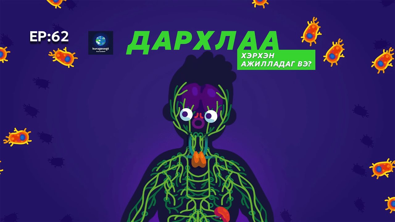 🔍 ШУ-ны хялбаршуулсан нийтлэл Ep : 62 | Хүний дархлааны систем | ФУ-ны Доктор, Норовын Тэгшбаяр