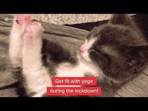 Do Yoga at Home with HealthifyMe - Do Yoga at Home with HealthifyMe