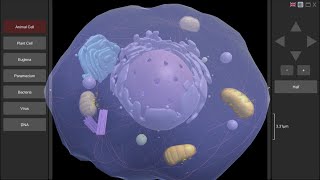3D Virtual Cell 2.0