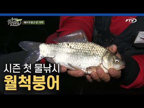 새우 미끼의 효과는 대단했다! 입질 쏟아지는 해빙기 붕어낚시! [붕어낚시 월척특급/804회]