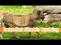 Autodesk Flame - Extended Bicubic Tracking - Do the Dew Revisited!