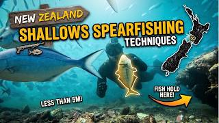 3x Shallow water spearfishing Techniques