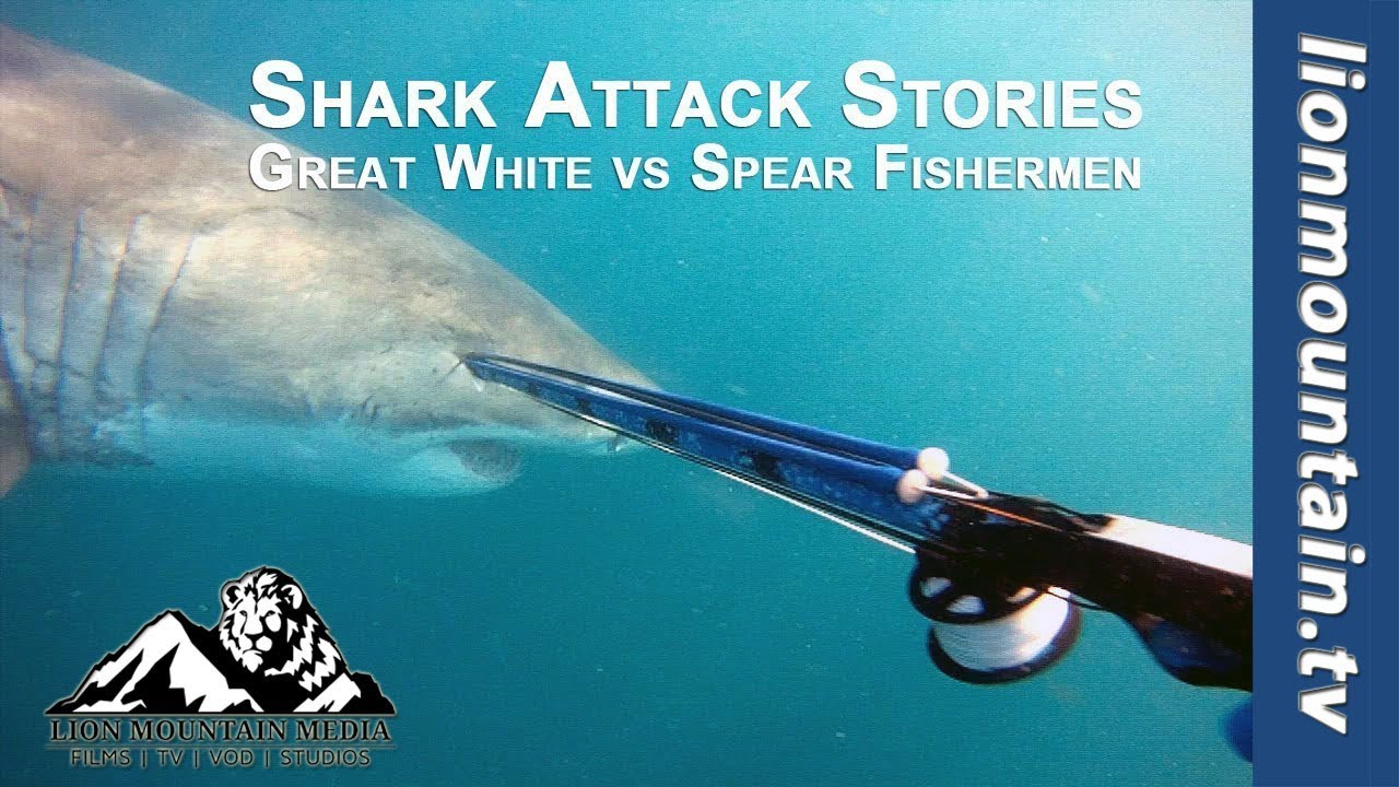 SPEAR FISHERMEN GETS SHADOWED AND ATTACKED BY GREAT WHITE SHARKS. YouTube