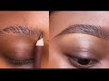 HOW TO DRAW EYEBROWS FOR BEGINNERS: Beginner Friendly Eyebrow Tutorial: Detailed Eyebrow Tutorial