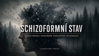 Schizoformní stav jako model narušené percepční integrace (Krátká fiktivní dizertační práce)