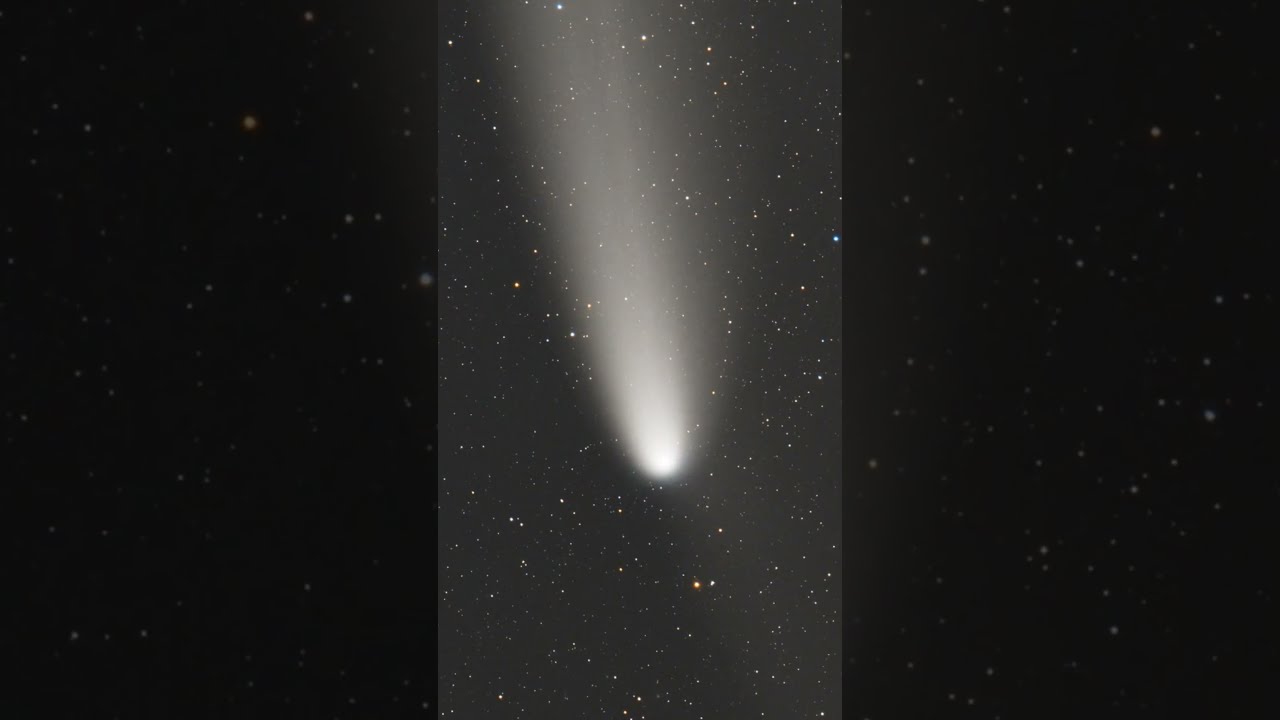 Earth Had A Visitor Cshorts