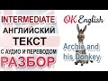 Archie and his Donkey - английский текст среднего уровня - разбор, перевод, английская грамматика