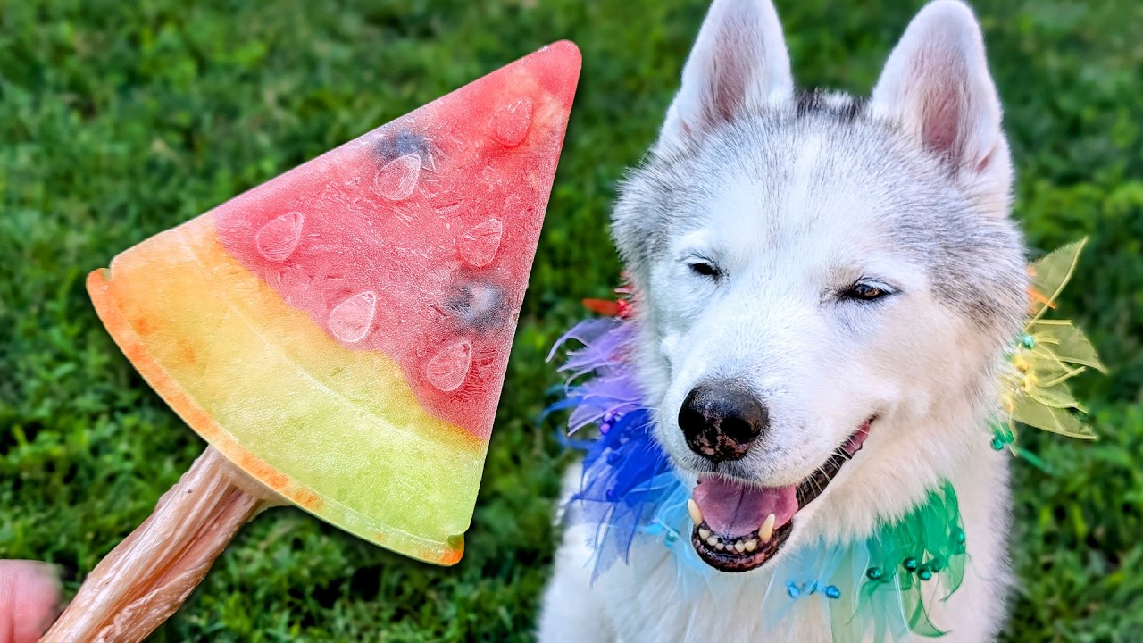 How Do You Feed a Dog With a Cone: Easy Tips for Stress-Free Meals