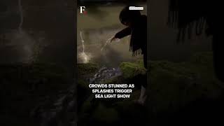 Watch: Rare Sea Glow At Melbourne Beach As Bioluminescent Algae Light Up | Subscribe to Firstpost
