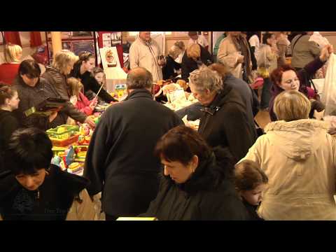 Noah's Ark Toy Fair