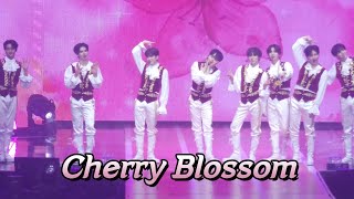 [4K] CRAVITY(크래비티) - Cherry Blossom | 240406 CRAVITY FANCON LUVITY GAMES