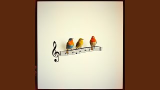 Chorus