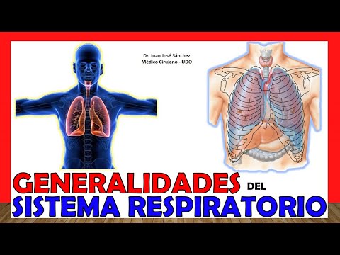 Como hacer un aparato respiratorio casero