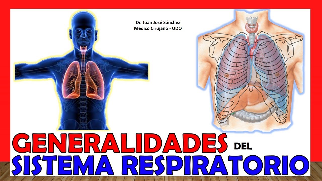 🥇 APARATO RESPIRATORIO en 18 Minutos!!. ¡Fácil y Sencillo!