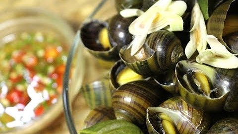 Hướng dẫn cách luộc ốc và pha nước chấm ốc cực ngon tại nhà