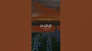 إِنَّ الله وملائكته يصلون على النبي سورة الأحزاب قارئ محمد هشام#بلغوا_ عني ولو آية #quran #youtube