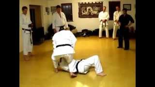 Tom Hill's Karate Dojo; Block, Lock, Takedown, Break, Stamp. screenshot 3