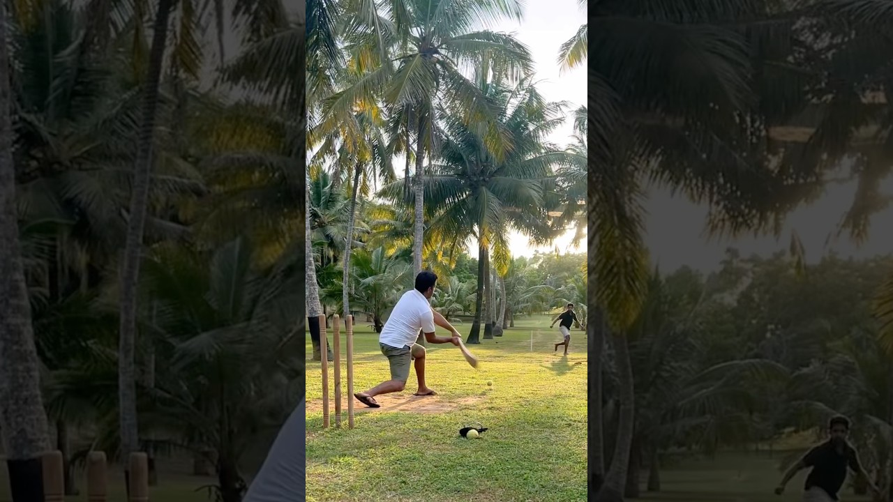 Bat & Ball 🏏🎾👈 #shorts #viral #cricket #sports #mychannel #subscribe