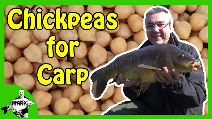 Carp Baits - Particle Fishing for Carp 