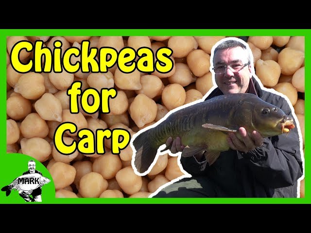 Practical tips from my carp sessions