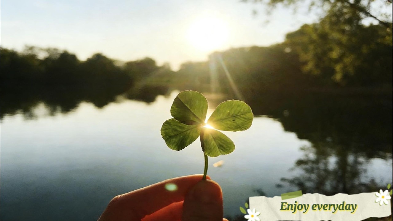 初春的早晨音樂時光 | 🍃森林的晨光祝福 1小時｜早晨療癒旋律｜放鬆・專注・冥想｜學習・工作・靜心｜鋼琴、水晶音樂｜讓早晨的鋼琴旋律開啟希望的一天 #morningmusic