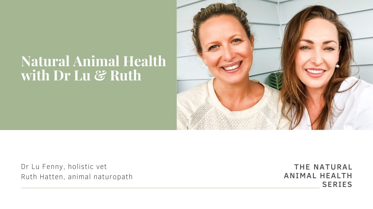 Natural Animal Health With Dr Lu & Ruth YouTube