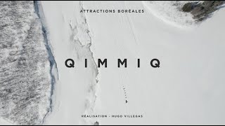 Teaser "Qimmiq - Le documentaire"