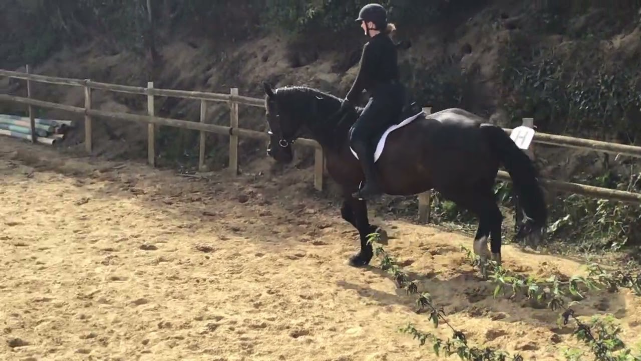 Kate Coyle Armley Dressage with Brynithon Knight (Nero) 20/09/22