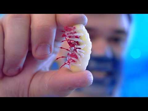 Trying alien fruit