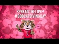 FSU Bobcat Giving Day: Show Bob Cat Some Love!