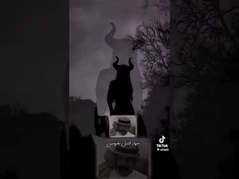 احب الليل والسهره على شاطئ القمر حالي