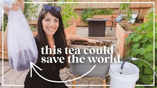 Making Aerated Worm Tea (& how worms could save the world) by Hey It's a Good Life 10,538 views 2 years ago 15 minutes